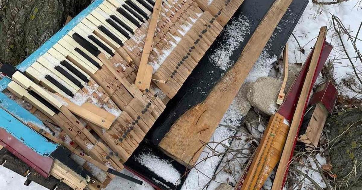 Фото: Життя міста Вишгород