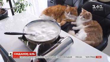Японський фуд-блогер готує їжу разом з котиками