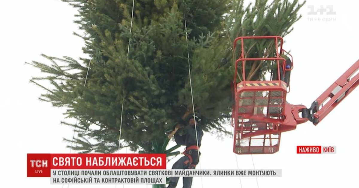 На Софийской площади собирают главную елку страны