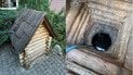 Отруєння на Закарпатті