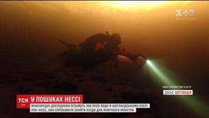 Международные ученые попытаются найти следы ДНК мифического монстра Несси