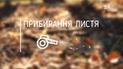 Влаштовуємо генеральне прибирання після зими — Весна на дачі зі Stihl