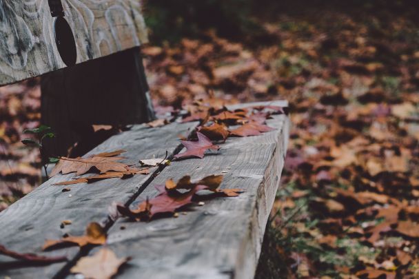  / © Unsplash