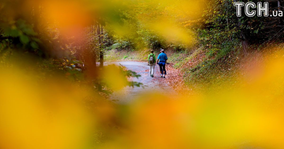 В Украине местами потеплеет до 23 градусов. Прогноз погоды на первый день октября