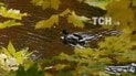 Осіння погода
