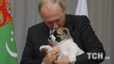 Путину подарили собаку  / © Reuters