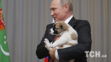 Путину подарили собаку  / © Reuters