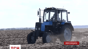 Весняна сівба стане в півтора рази дорожчою за минулорічну