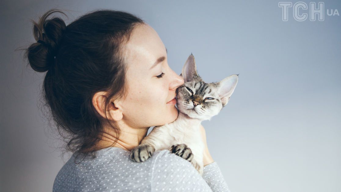 Любят ли кошки, когда их целуют?