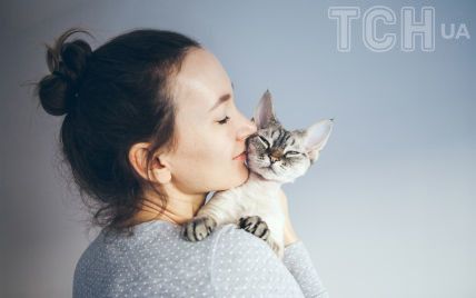 Кошачий поцелуй: действительно ли вас целуют ваши котики и киски? | ZOO CHANNEL | Дзен