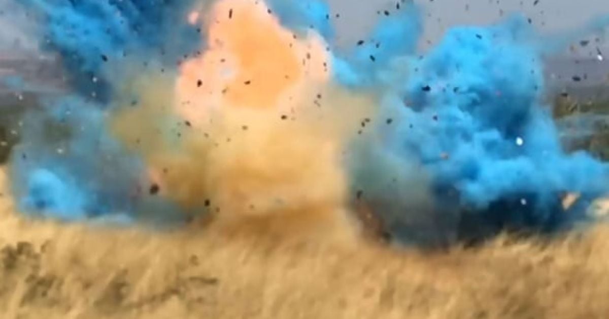 В США родители во время вечеринки по объявлению пола ребенка устроили взрыв: в соседних городах решили, что это землетрясение