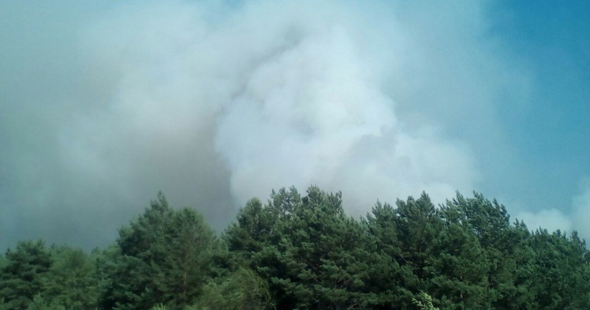 Спасатели ликвидировали пожар на Гончаровском военном полигоне