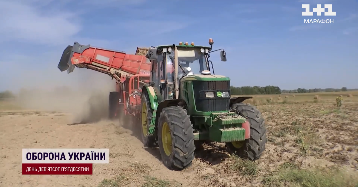 Збирання картоплі