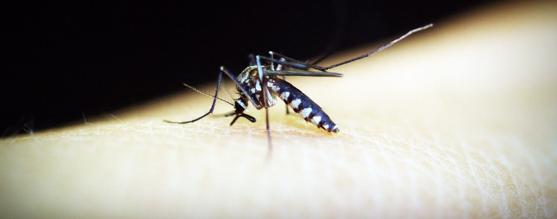 Кишкові інфекції, малярія та поліомієліт: які інфекційні хвороби атакували українців торік