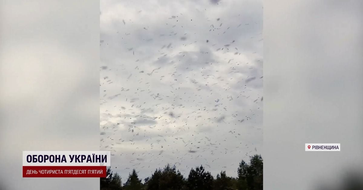 По прогнозам энтимологини, столько мошки не будет уже через 2-3 недели, потому что должна вымереть сама, а еще помогут птицы.