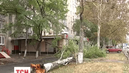 На Одещині через шквальний вітер без електрики залишилися два десятки населених пунктів