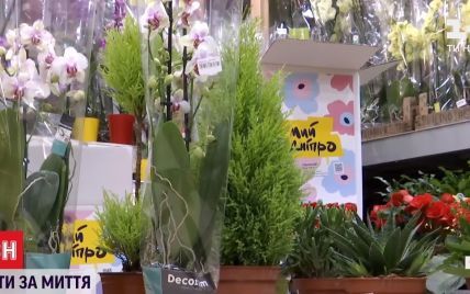 Літак квітів із Нідерландів: у Дніпрі за пів ціни продають рослини задля боротьби із наркорекламою на фасадах