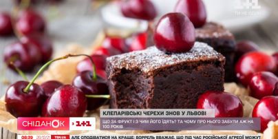 До Львова повернули його давній гастрономічний бренд - клепарівські черехи