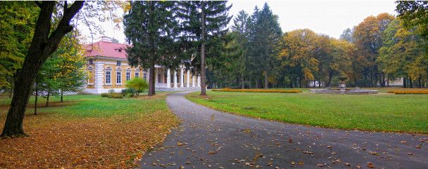  / © www.flickr.com/Olga Solnceva