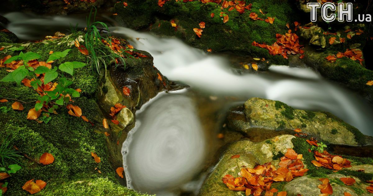 Осінь,Швейцарія_4 / © Reuters