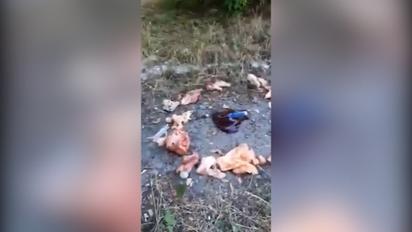 В Днепре неизвестные проводили странный "ритуал"