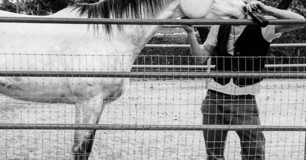 Ченнинг Татум с лошадью