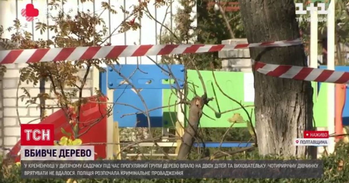 Лікарі розповіли про стан дитини і виховательки з Кременчуга, які вижили після падіння дерева у садочку