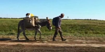 Ради осуществления своей мечты: 59-летний немец отправился в кругосветное путешествие с ослом