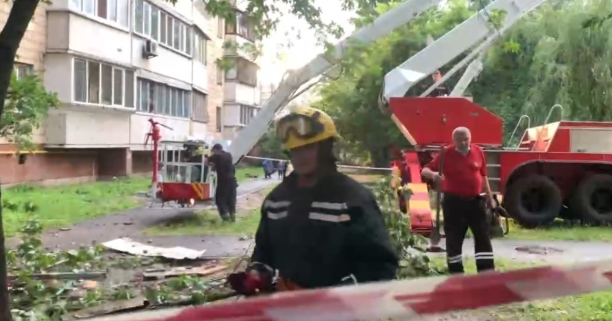 Фото: magnolia-tv.com