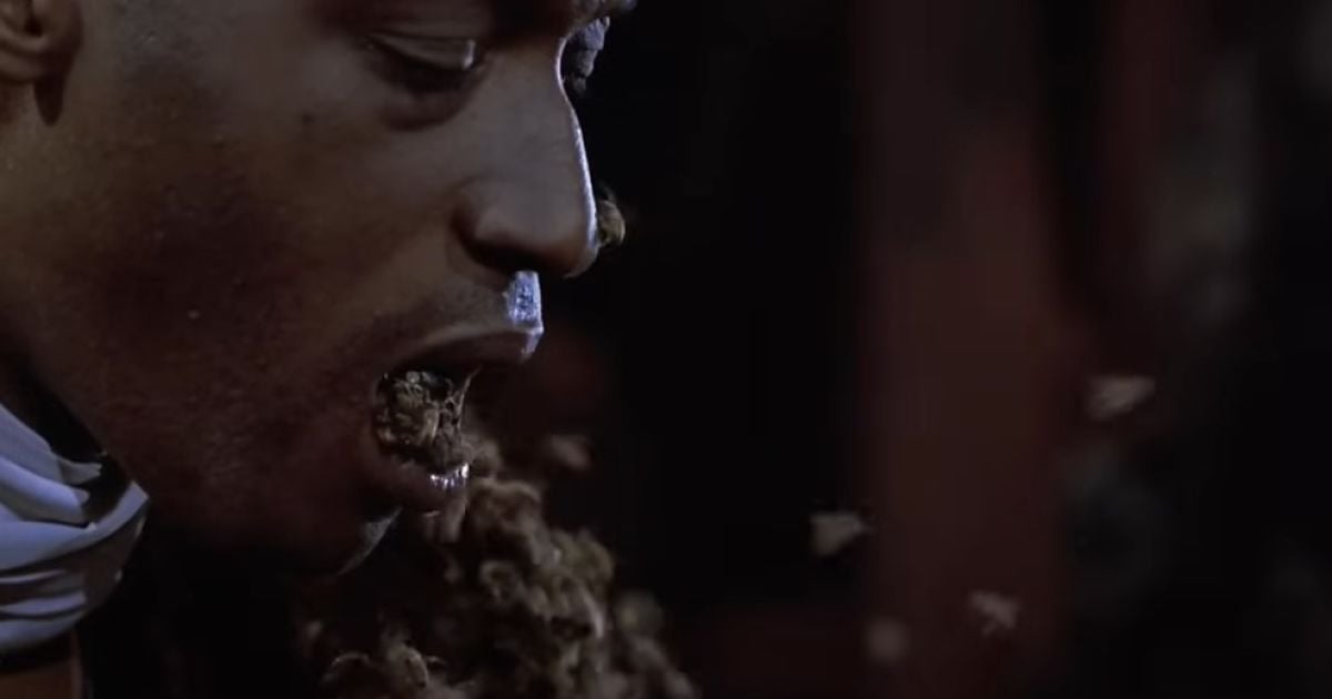 Сцена с пчелами / Universal Pictures