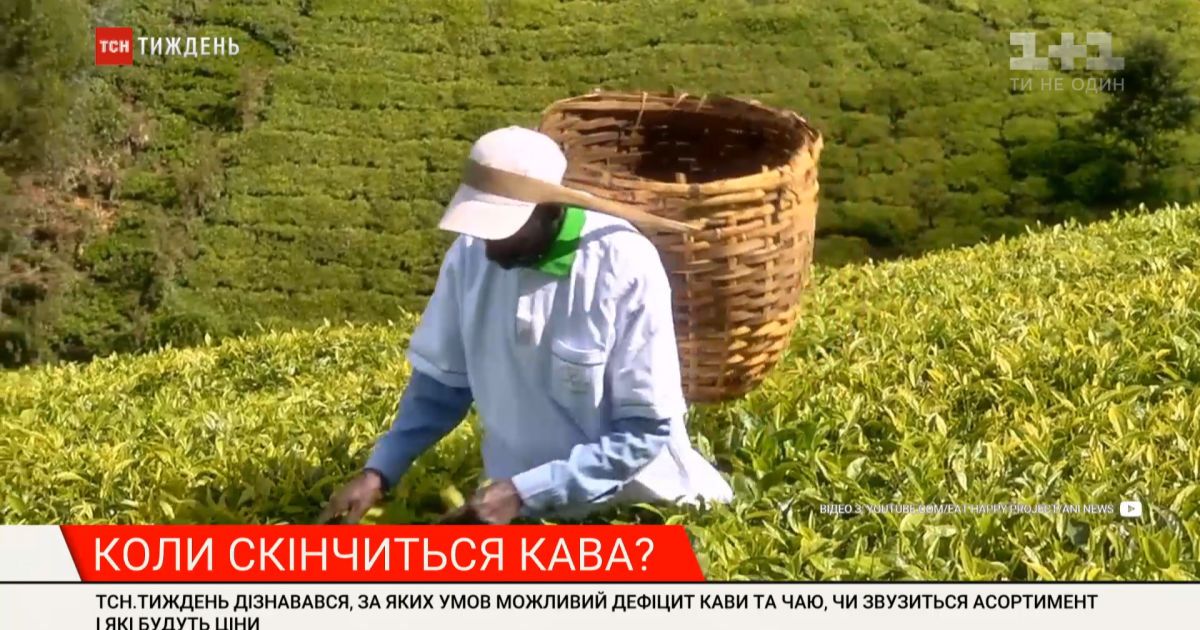 ТСН.Тиждень узнавал, при каких условиях возможен дефицит кофе и чая