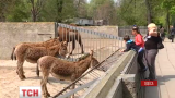 Бебі-бум стався в Одеському зоопарку