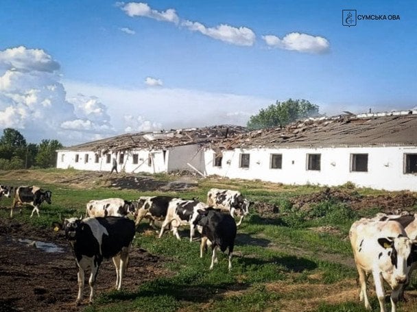 РФ ударила дроном по фермі на Сумщині