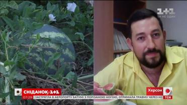 Скільки коштують перші кавуни