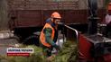 Перерождение елок: в Киеве открыли пункт утилизации