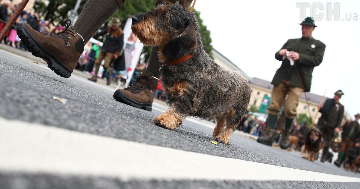 парад костюмів, октоберфест_10 / © Reuters