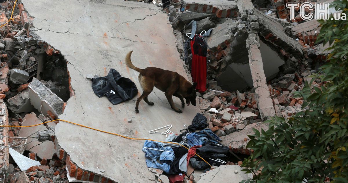 землетрус, мексика_11 / © Reuters