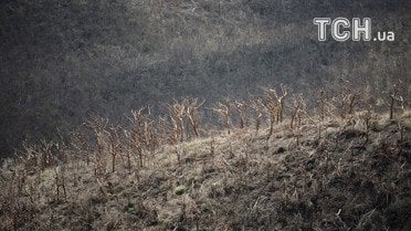 Наслідки урагану Ірма_5 / © Reuters