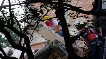 землетрус, мексика_1 / © Reuters