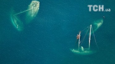 Наслідки урагану Ірма_12 / © Reuters