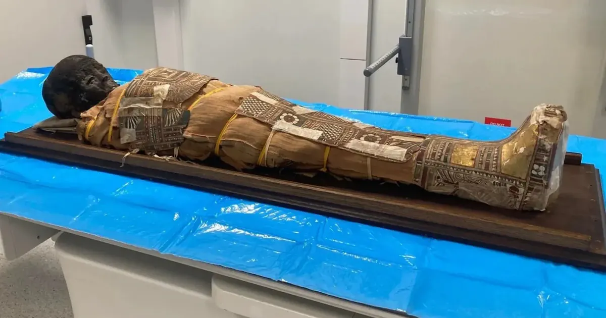 Мумія дитини. Фото: Вроцлавський університет