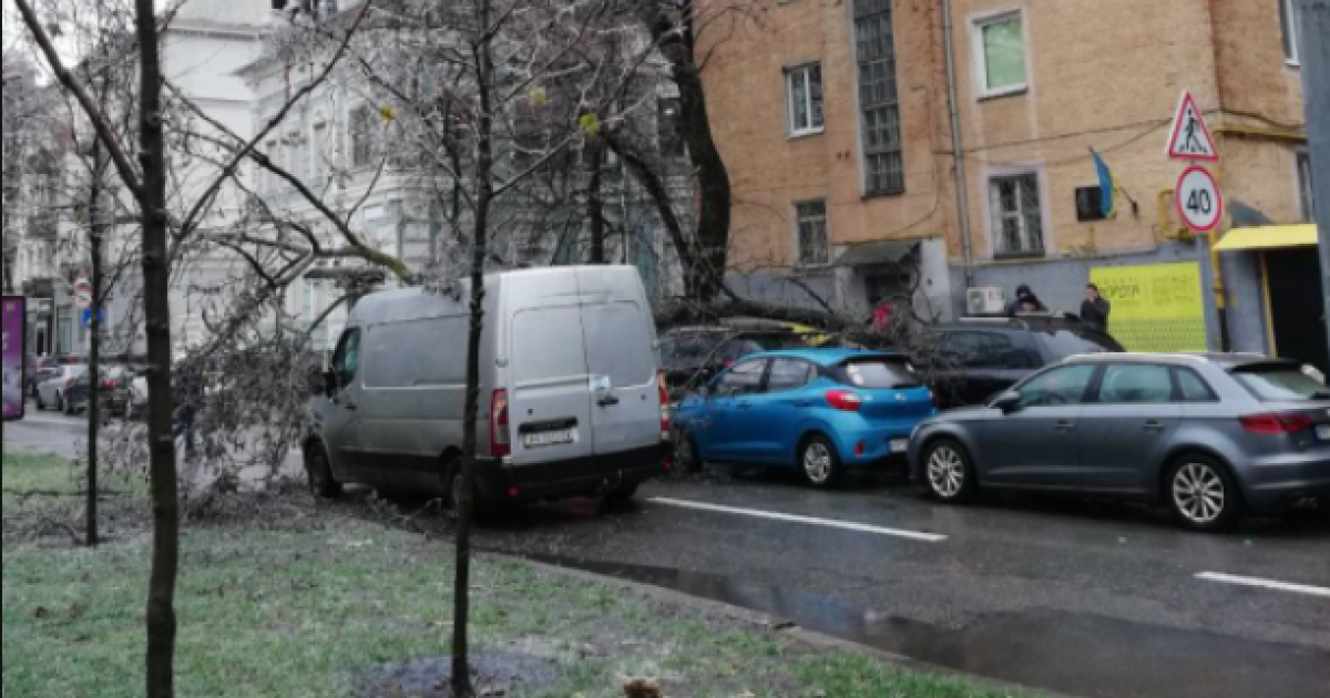 У Києві через негоду падають дерева: пошкоджено автівки_Липська