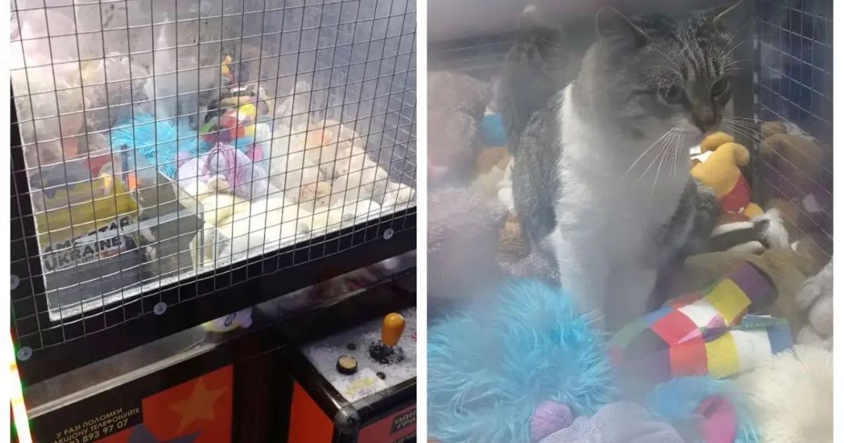 фото / "Твій Володимир", Facebook