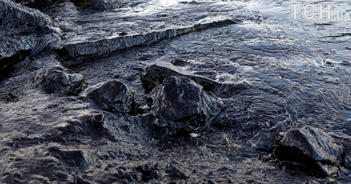 Нафта розлилася на острові Саламін у Греції_4 / © Reuters