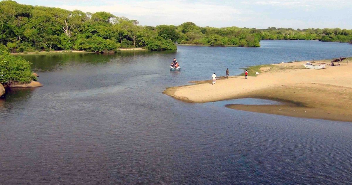 Водолазы ищут тело журналиста, на которого напал крокодил.