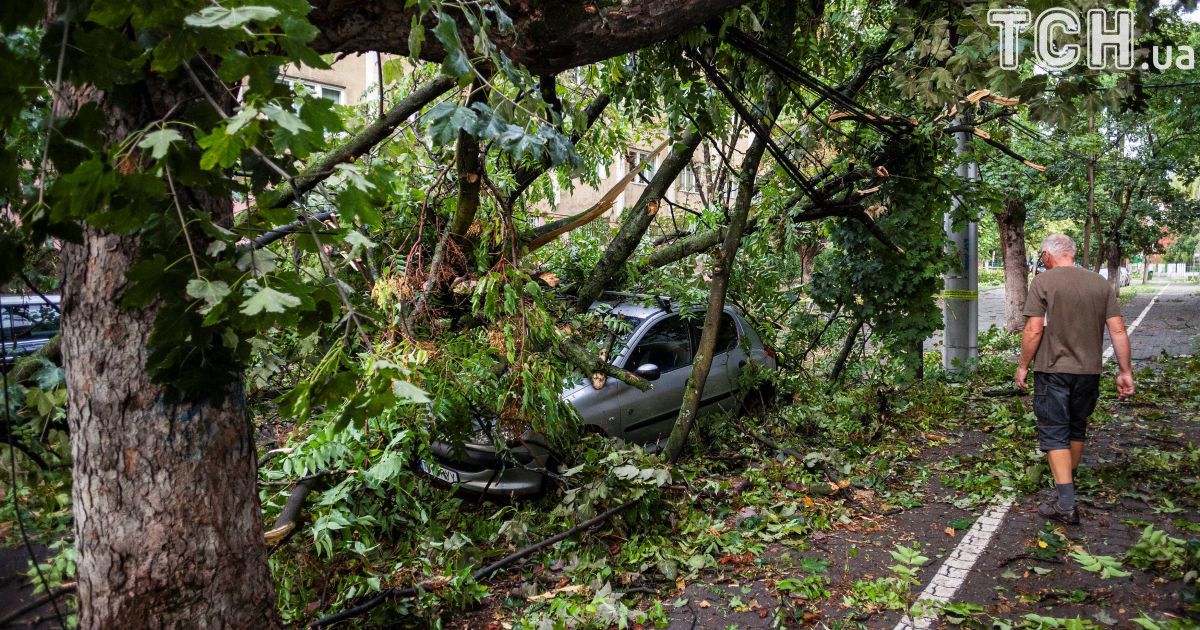 Негода у Румунії_3 / © Reuters