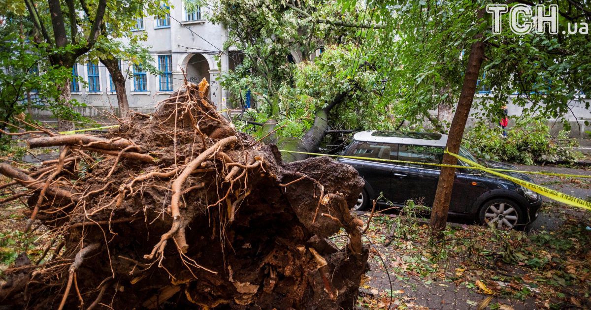 Негода у Румунії_2 / © Reuters