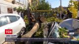 Новини України: у Львові через негоду впала стіна, а в Одесі – вітер потрощив авто і травмував водія