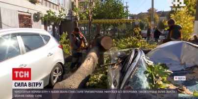 Новости Украины: во Львове ветер завалил стену, а в Одессе - разбил авто и травмировал водителя