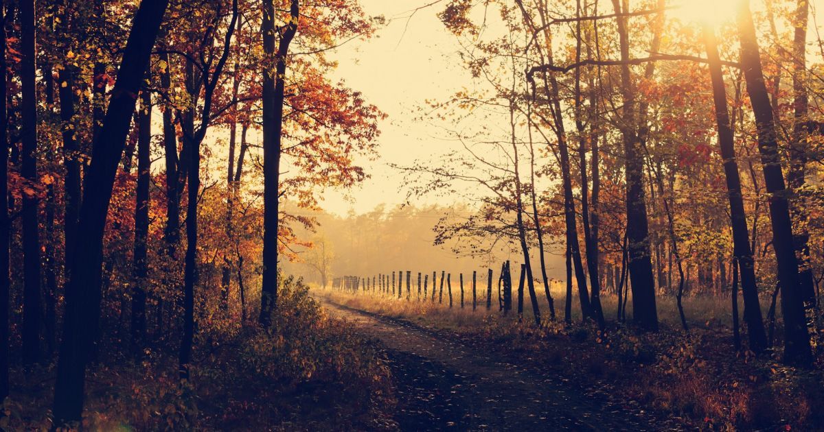 Коли день осіннього рівнодення 2024 року